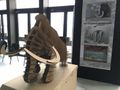 Екомузеят представя историята на мамутите в първия Салон на музеите