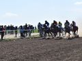 Елитни жокеи с коне от английска порода се състезават в Сандрово