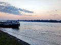 Дунав със 134 км по-къс и с 40% по-тесен заради човешка дейност