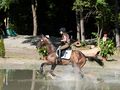 Млада русенска звезда на европейско по конен спорт