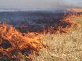След 3 дни превишение на финия прах в Русе РИОСВ иска от Гюргево информация за горящите стърнища