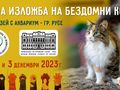 Спасени от улицата бездомни котки търсят осиновители на изложба в Екомузея