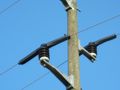 Птици причинявали честото премигване на тока в Щръклево