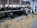 438 млечни ферми в Русенско получиха още 2 години живот