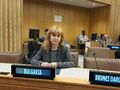 Светлана Ангелова изнесе доклад пред Комисията за жените на ООН