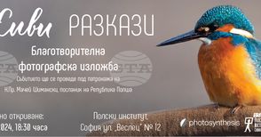 Полският институт в София показва благотворителна фотографска изложба „Живи разкази“