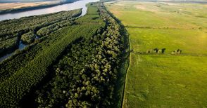 WWF България: Проектът за подобряване корабоплаването по Дунав търси финансиране без оценка на въздействие върху околната среда
