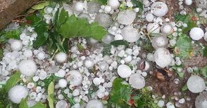 Околко пет хиляди декара посеви са засегнали вчерашните градушки в община Чирпан