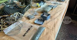 Криминалисти от Разград разкриха съоръжение за отглеждане на растения от рода на конопа