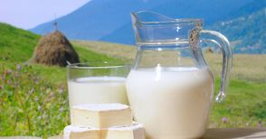 Отказаха ни допълнителна  помощ за млечния сектор