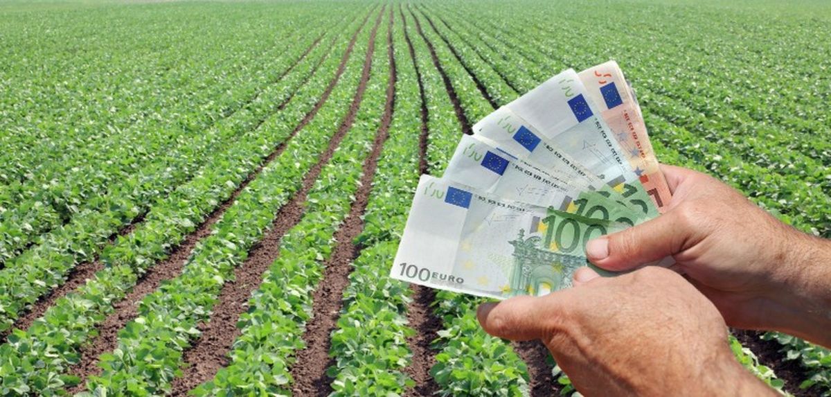2122 земеделци от Русенско получат  първи плащания за площ през декември