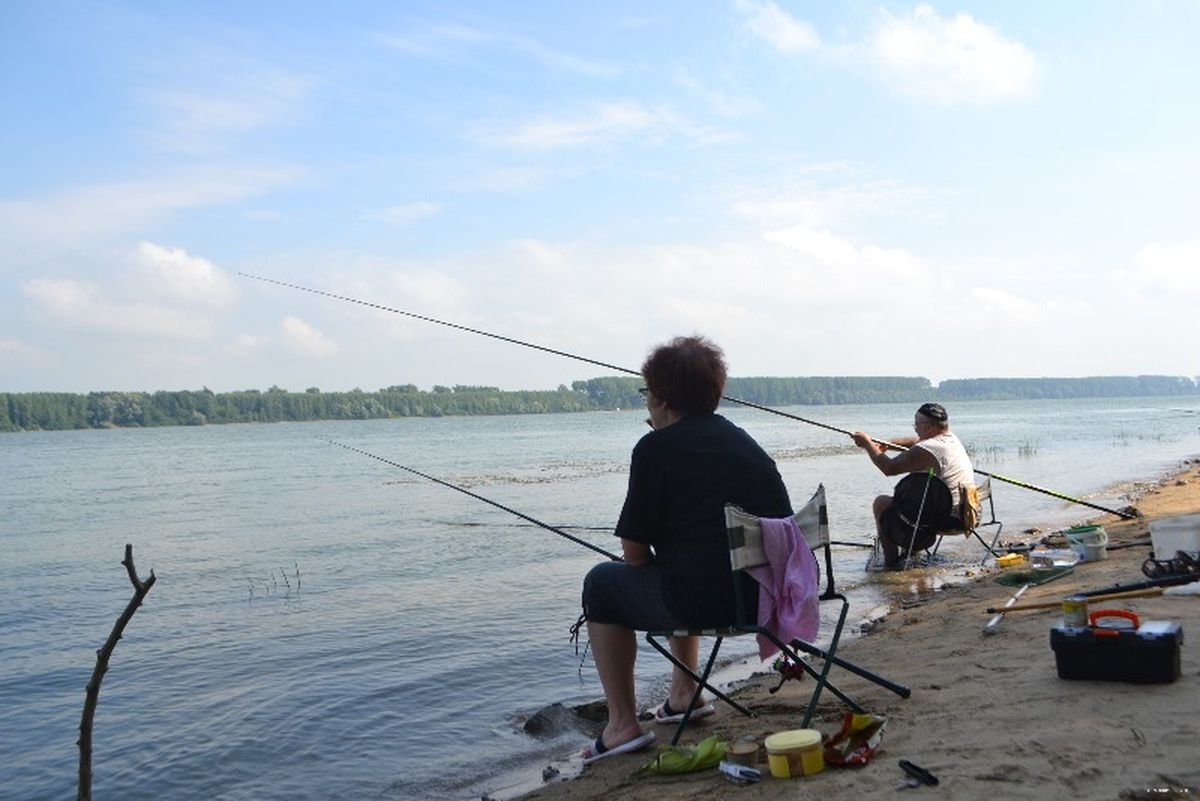 Забраняват за три години риболова  в 17 участъка на река Дунав