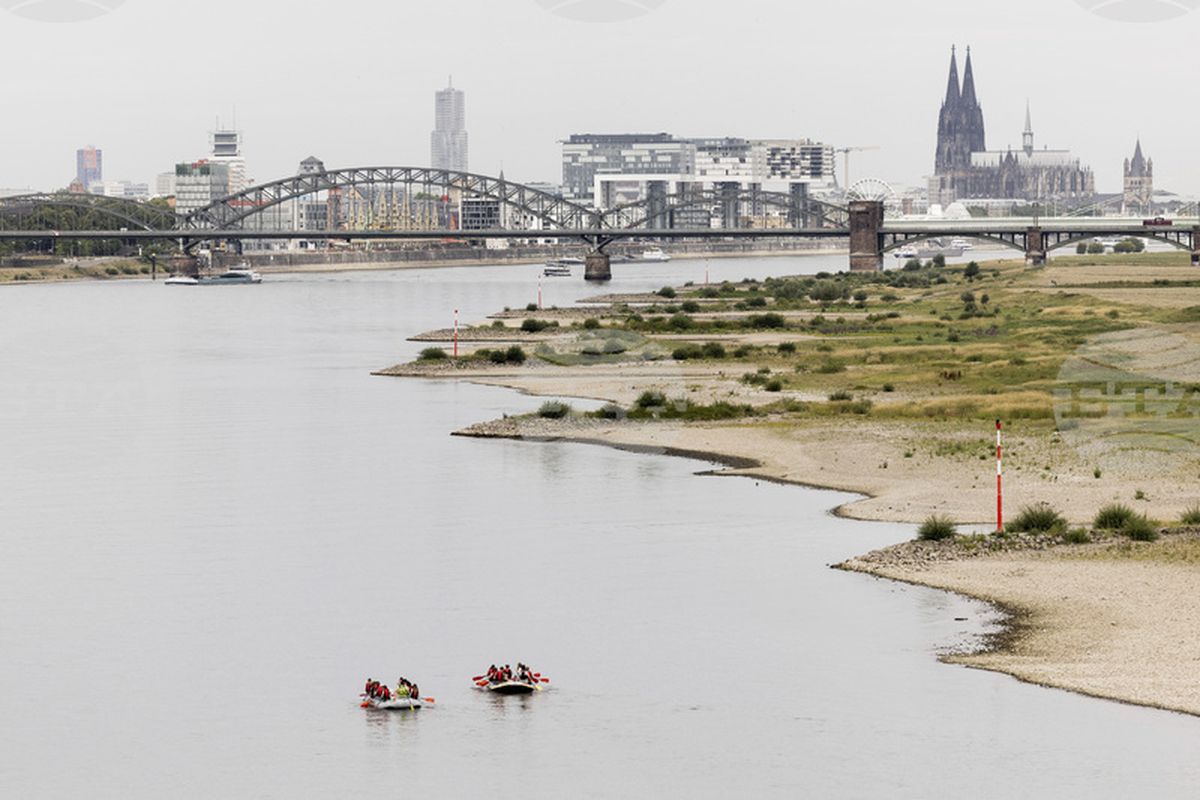 Река Рейн в Германии обмелела