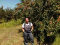 „Америка за България“ помага  на Съюза на дунавските овощари