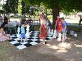 Градински шах забавлява малки  и големи пред библиотеката