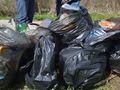 „ВИТТЕ Аутомотив“ изхвърли  150 чувала смет от Лесопарка