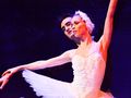 Балетист от Софийската опера танцува в „Лебедово езеро“