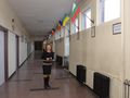 Алея на дунавските държави  подредиха в Корабната гимназия