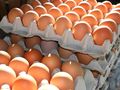 Цените на яйцата постепенно слизат към нормалните нива