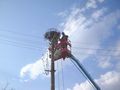 Енергото инсталира платформи за щъркели в община Ветово