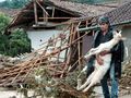 Приемат заявления за унищожени  от бедствия животни и кошери