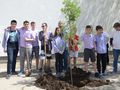 Ученици засадиха две офики в двора на Немското училище