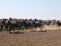 Сандрово с пет призови места на уникален турнир по конни надбягвания