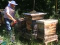 Фонд „Земеделие“ преведе над 8 милиона лева за биологично растениевъдство и пчеларство