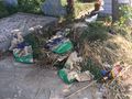 Михаил Павлов: Граждани правят камари с боклук в гробище „Чародейка“