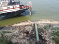 Проверка на екоинспекцията не откри мазни петна по река Дунав