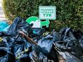 Над 114 тона боклук събрани за ден от 17 875 доброволци в Русенско