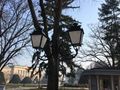Софийска фирма ще подменя старите  натриеви лампи по централни улици
