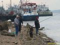 Уловът на риба в Дунав намалял с близо 20 на сто за година