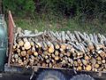 Затягат контрола върху  превоза на дървесина