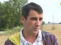 Д-р Христо Стойков: Комари и мухи  заразиха с чума прасетата в Бръшлен