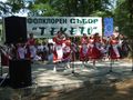 Чумата по свинете отмени и фолклорния фестивал на Текето