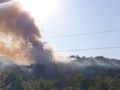 Искра от локомотив подпали 100 дка сухи треви и борова гора близо до дом „Приста“