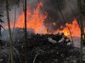 Голям пожар плъзна към крайните къщи на Селеметя