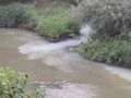 Фирма от Западна промишлена зона засечена да пуска цветни води в Лома