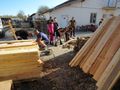 Доброволци сглобиха нови къщички за кучетата в приют