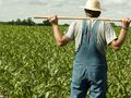 2360 земеделци от Русенско  избират как да ги облагат