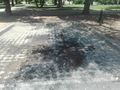 „Голф“ полят с бензин и запален в Парка на младежта
