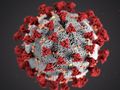 13 стигнаха смъртните случаи на заразени с коронавирус