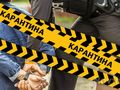 Наркозависима е първата осъдена в Русе за нарушена карантина