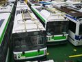 Столична фирма е единствен кандидат за доставката на 20 тролейбуса