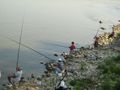 Уловът на риба в Дунав намалял 50 пъти от най-добрите години