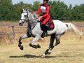 31 ездачи от 8 клуба се състезаваха в първенството по всестранна езда в Русе