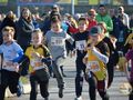 154 атлети тичаха по трасетата на Дунавски маратон „Приста“