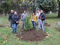 Русенската компания „М-Газ“ засади  кедрови дървета в Младежкия парк