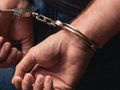 Бос на банда за кражби в Австрия ще чака екстрадиране в ареста